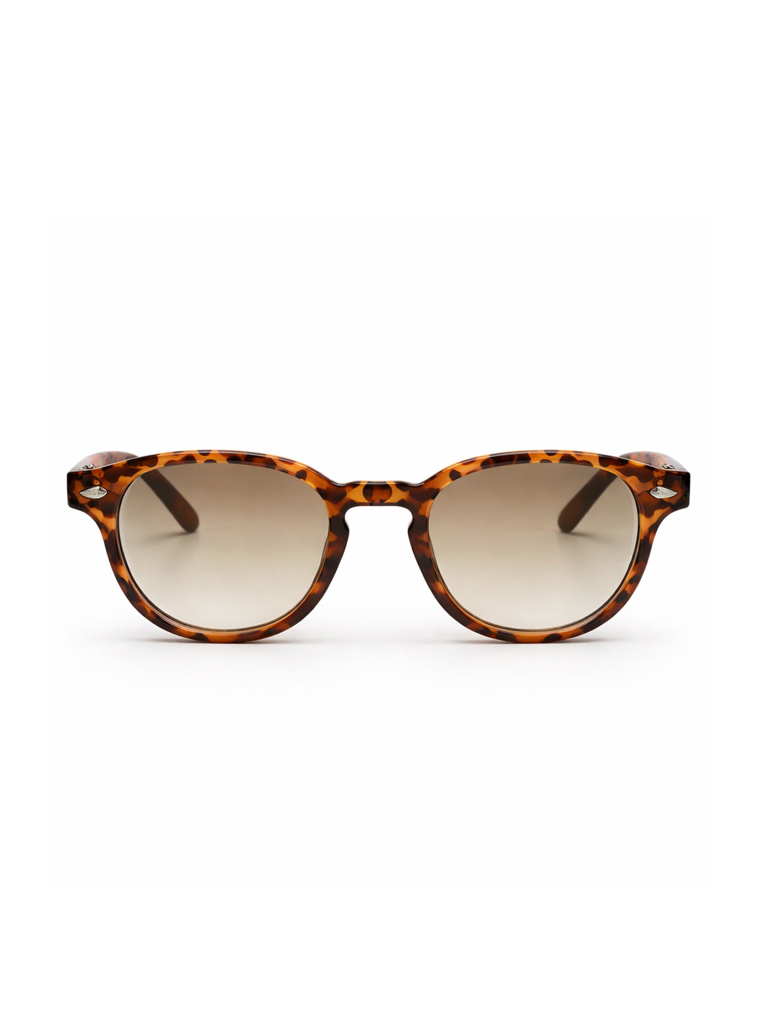 sunglasses / Brown Solan Sunglasses