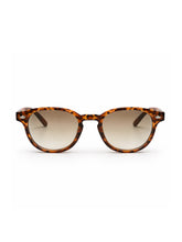 sunglasses / Brown Solan Sunglasses
