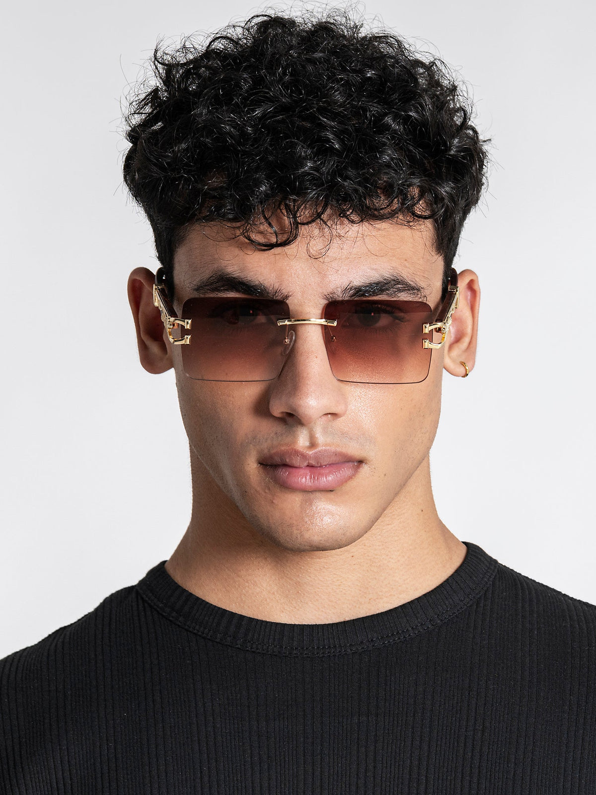 sunglasses / Gold Monarch Sunglasses