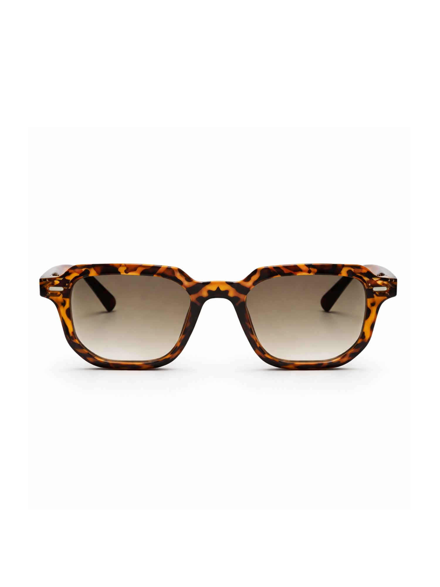 sunglasses / Brown Lior Sunglasses
