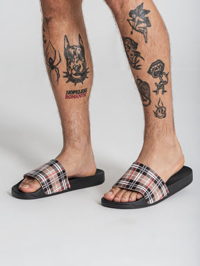 sliders / Multicolor British Sliders