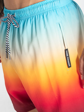 swimshorts / Multicolor Oasis Swimshorts