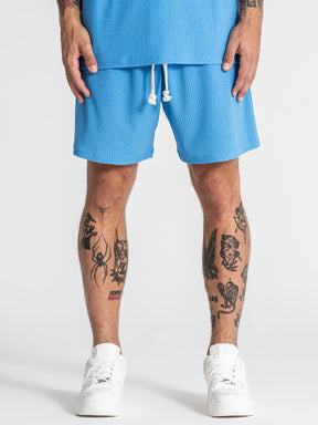 shorts / Light Blue Texture Shorts