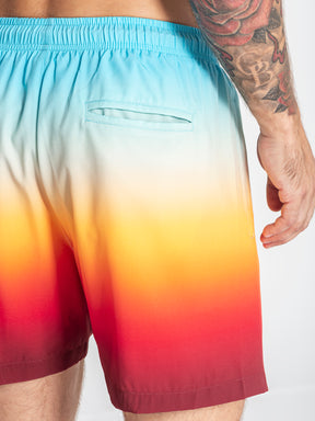 swimshorts / Multicolor Oasis Swimshorts